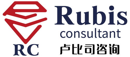 上海盧比司企業(yè)管理咨詢 專業(yè)賦能企業(yè)成長，解鎖管理新高度